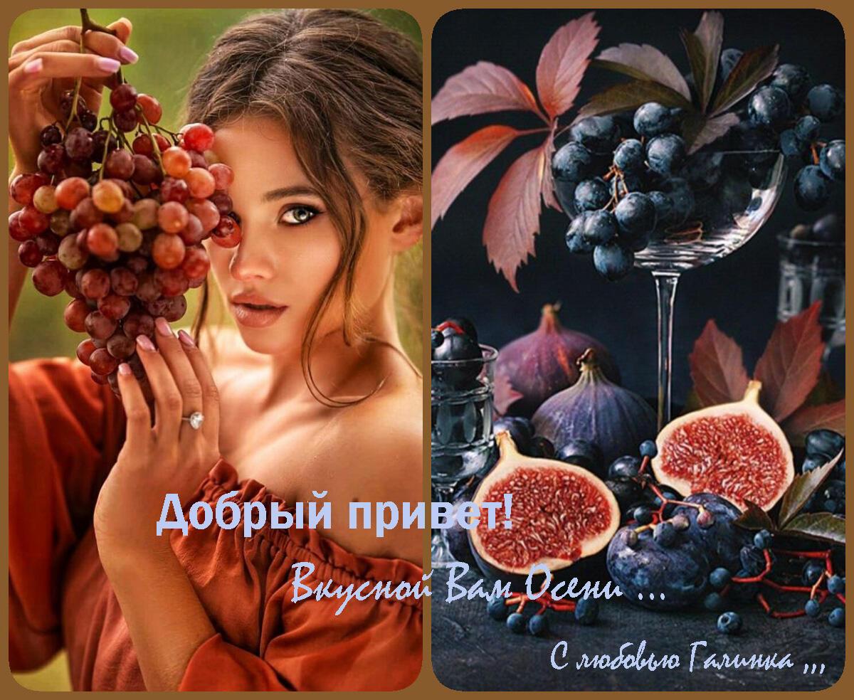 Осенний натюрморт переплетение красок     Галинка Багрецова
