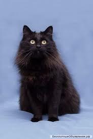 Маленький друг...