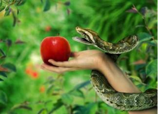 Отведай плод