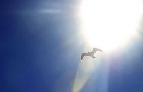 Познай себя