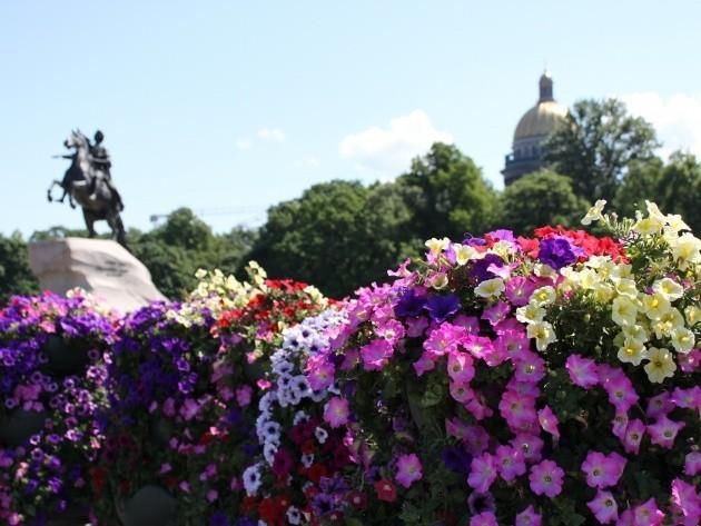 ПИТЕР В ЦВЕТАХ...