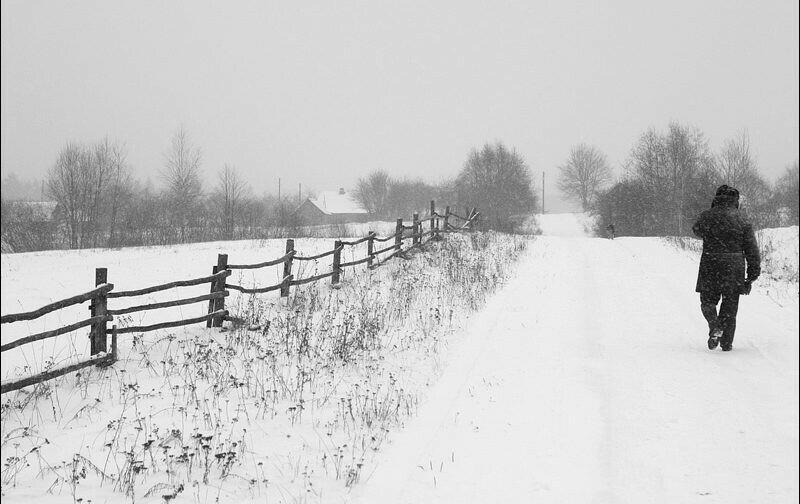 Дорога домой