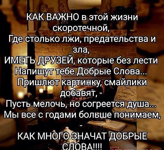 Без них прожить, конечно, можно...