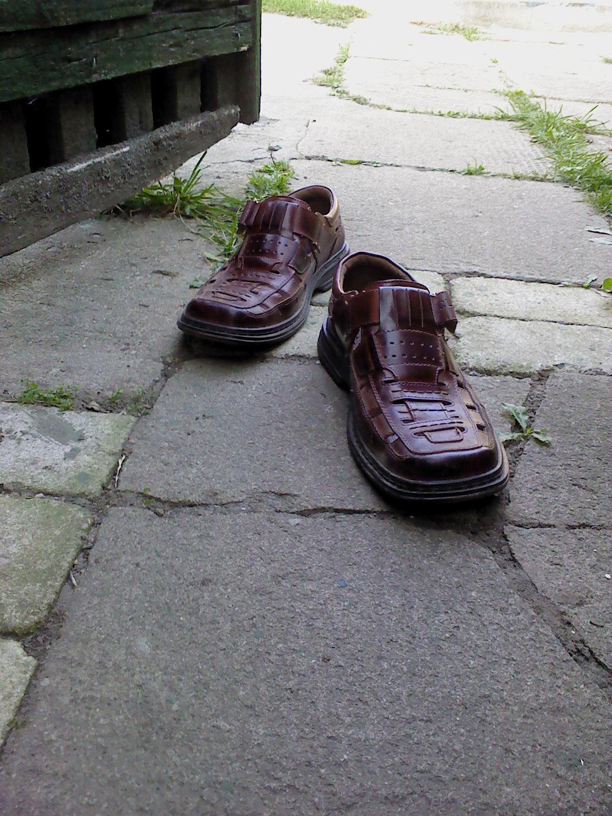 Панегирик Башмакам