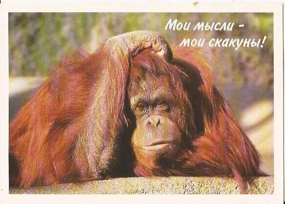 Мои мысли. ДвуХстишье