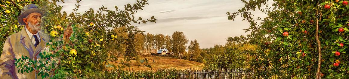 Мичуринский сад