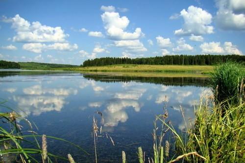 родная земля