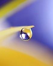 Между прошлогодними листами... (на украинском языке)