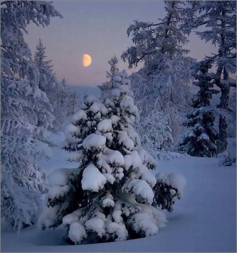 МЕТЕЛЬ ОБНИМЕТ ПРОСТО НЕ ОТДАСТ