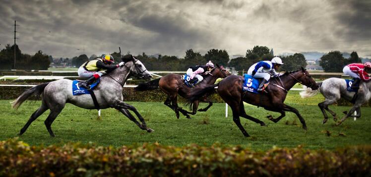 Конный спорт - жестокая штука