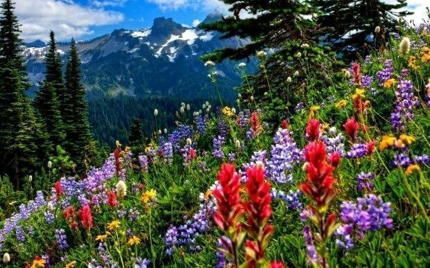 Наслаждайся каждым днем