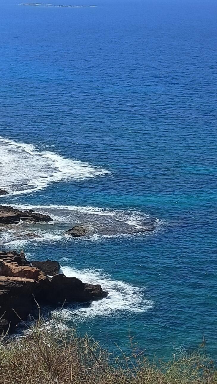 Радостью душа поится