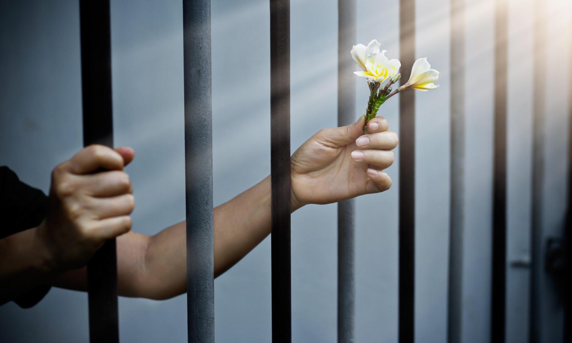 Скамейка . Блатная песня