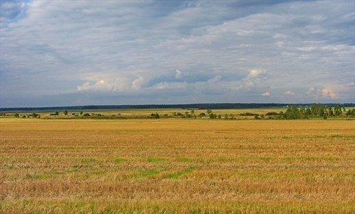 Об одной поэтической тусовке