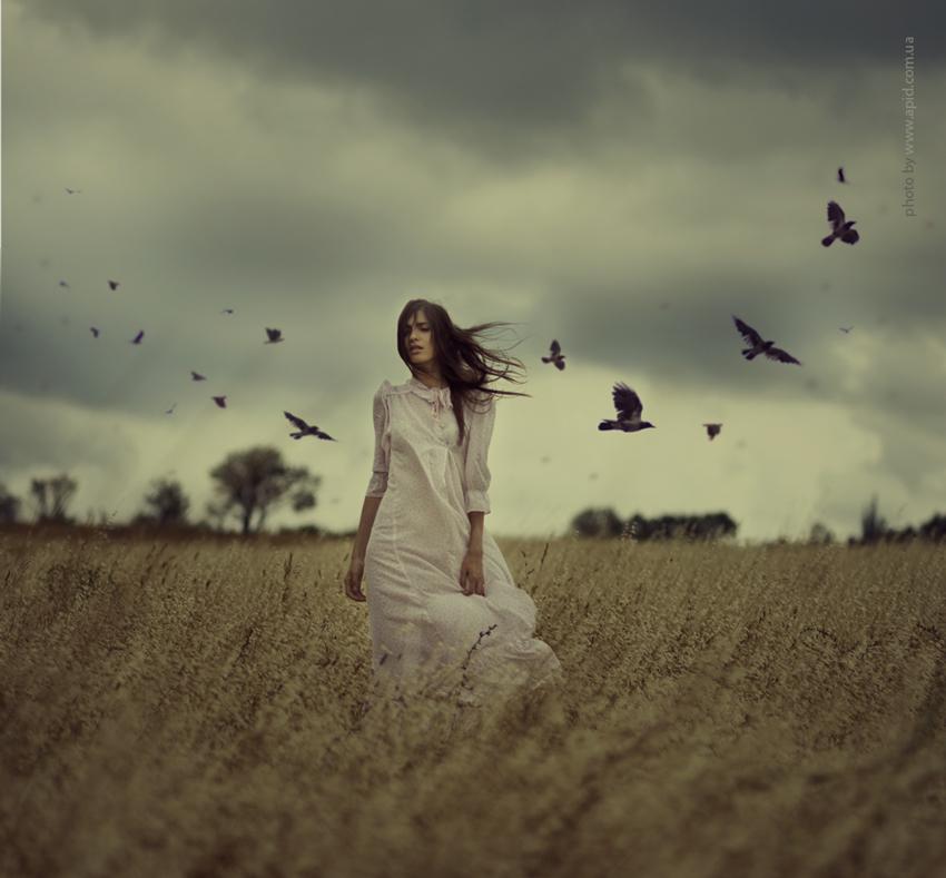 Налетело вороньё…