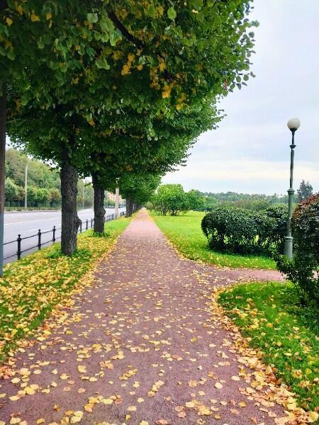 Встречу утро