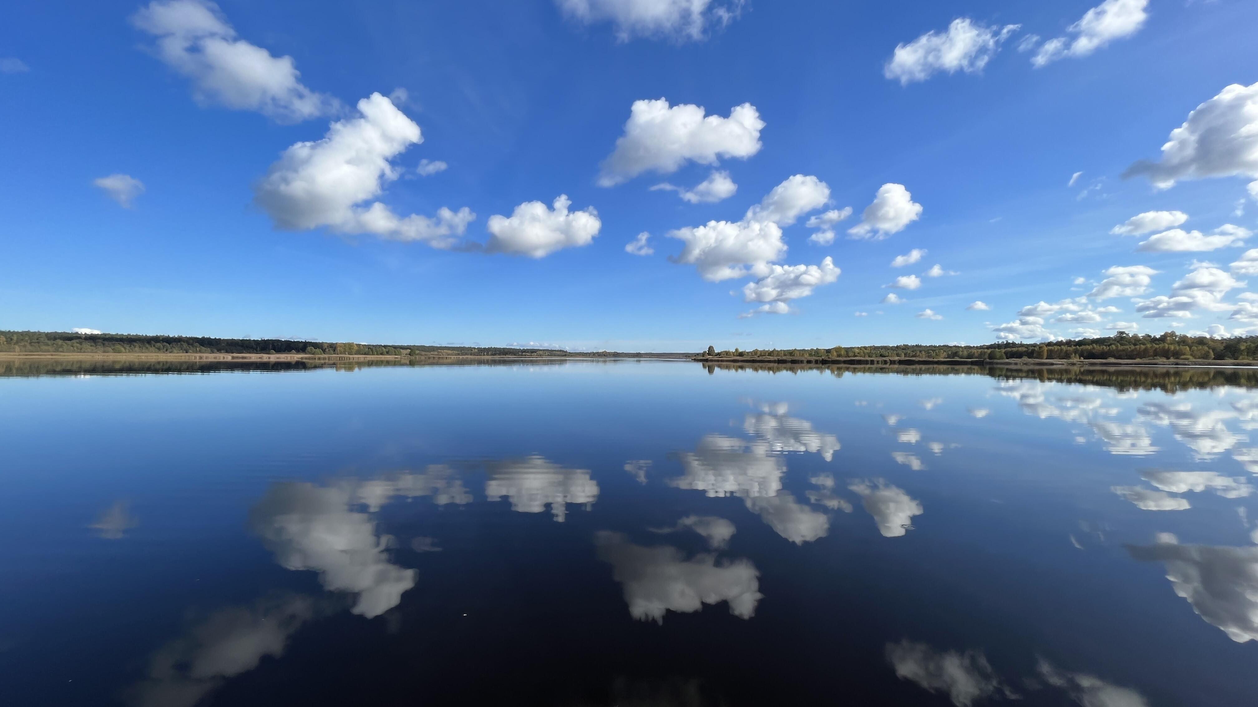 Жизнь (первое)