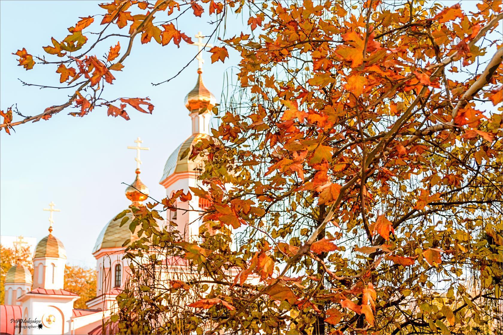 Случай  на  дороге.