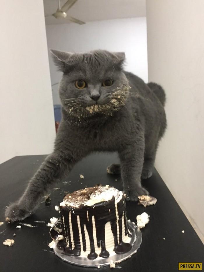 ВОТ Я ПОПАЛ - (фото приколы)