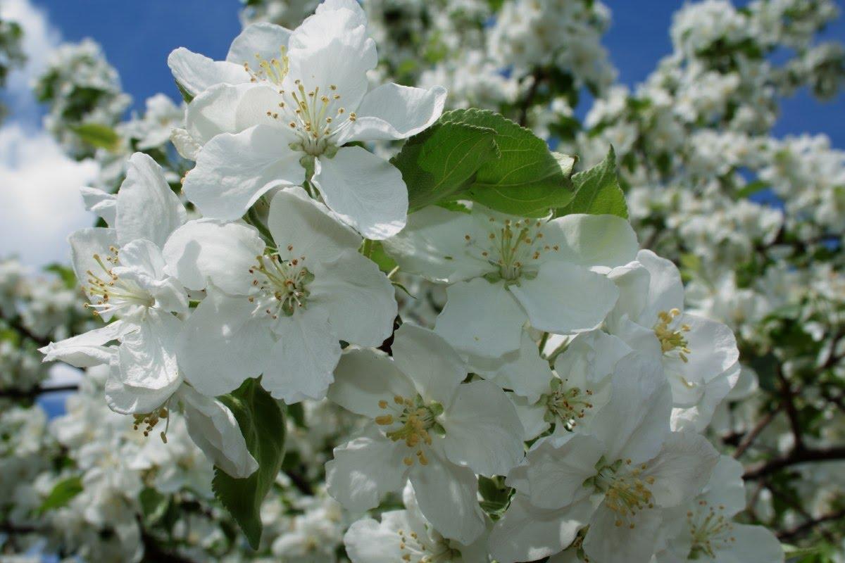 Сплетая воедино две дороги