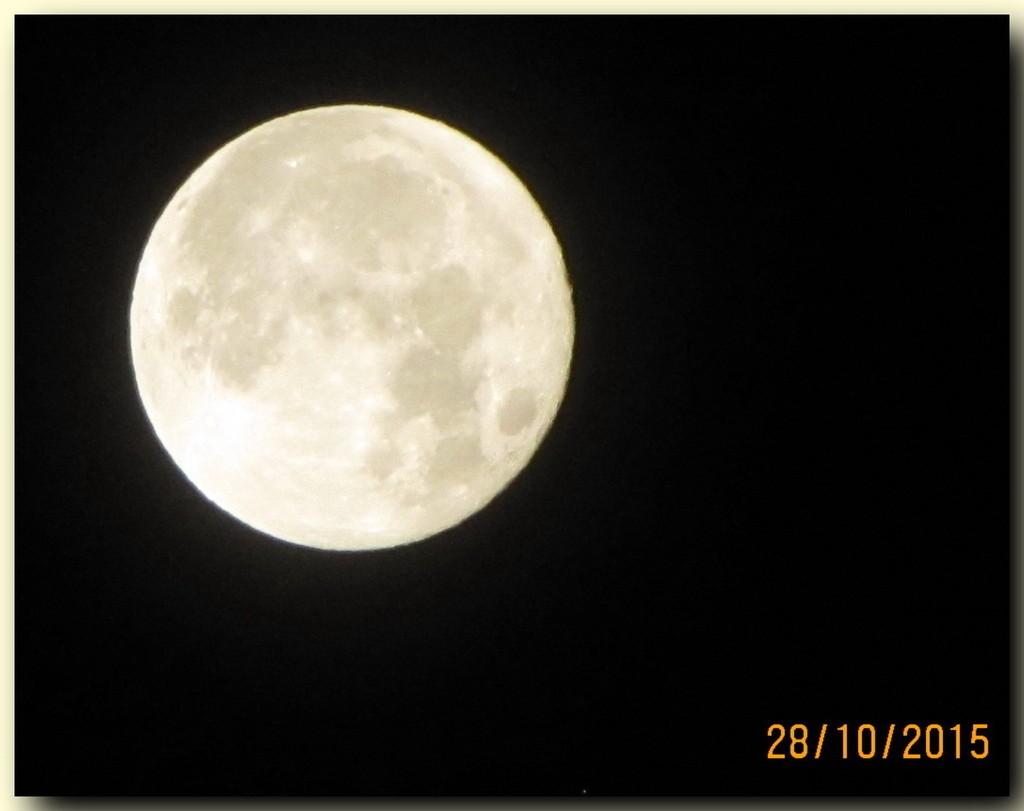 ЗАШКАЛИЛО В МОЗГУ…