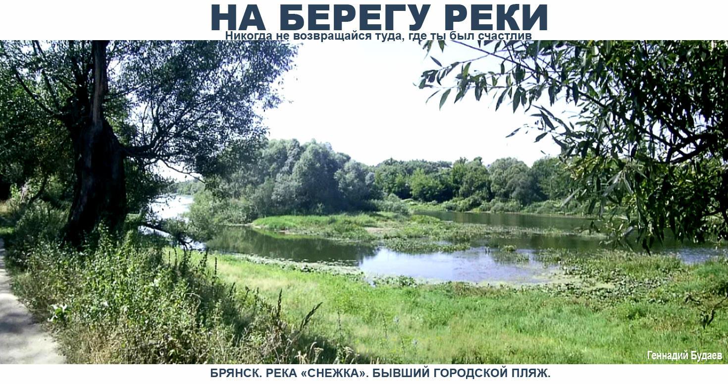 На берегу реки