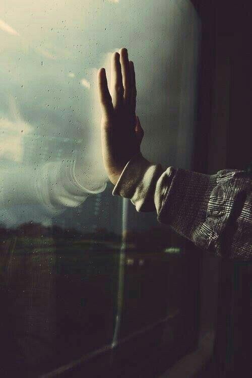 ЗИМОЙ ТАК СЛАДКО ПАХНУТ РОЗЫ.