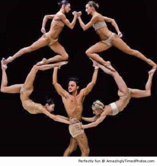 Человеческое древо