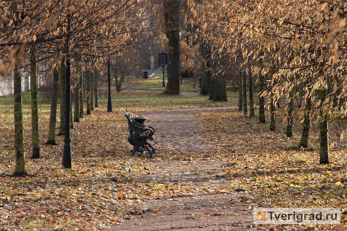 С ЛОМТИКОМ СПЕЛОЙ ЛУНЫ