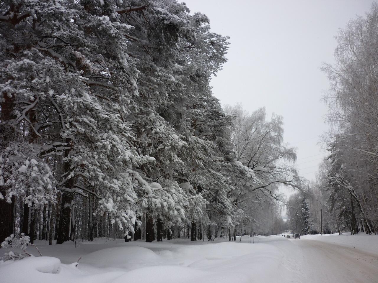 "Природа поседела..." (30.01.2022)