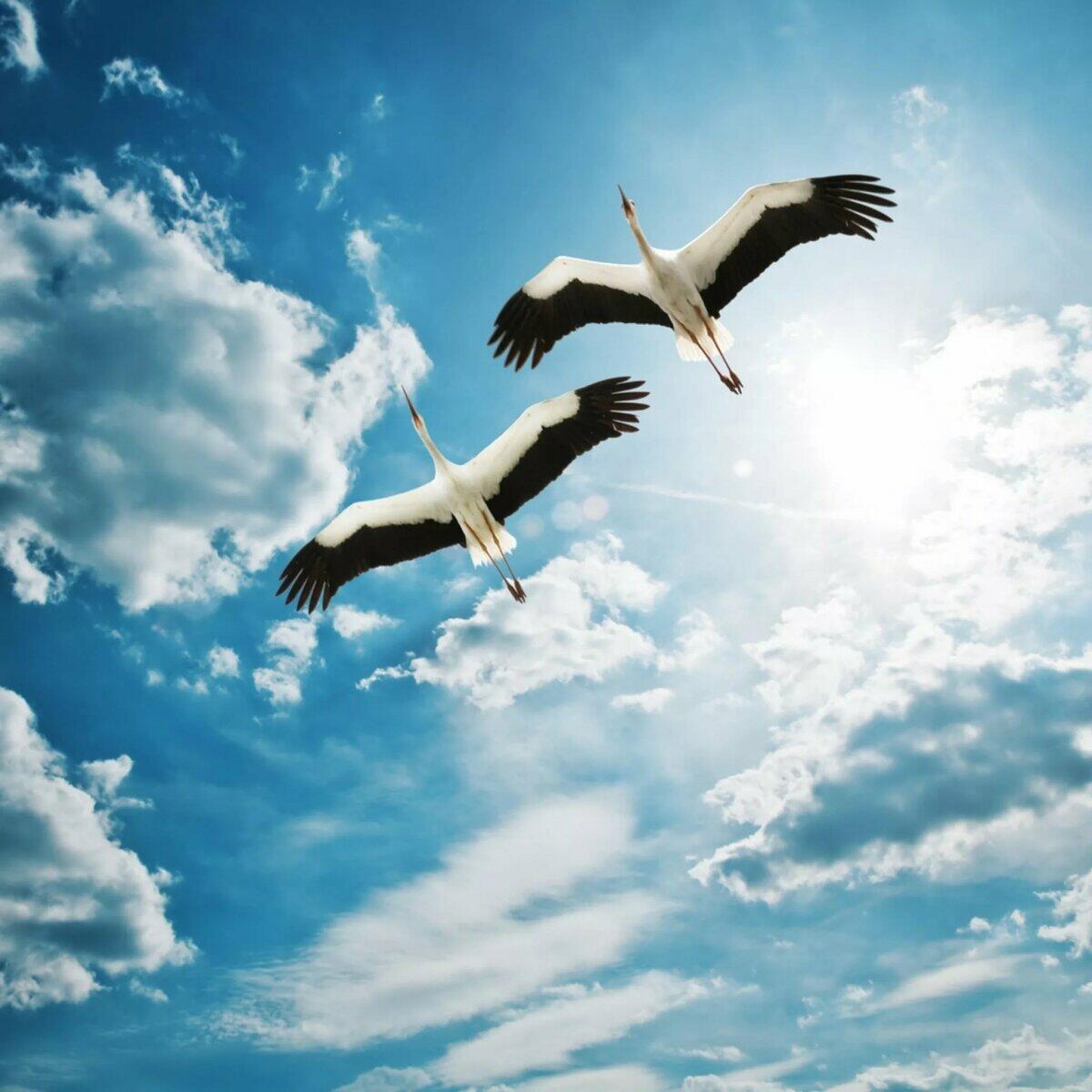 И НАКОНЕЦ ЗАДЫШАЛА ЗЕМЛЯ