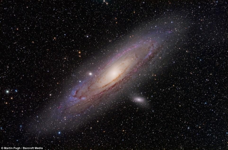 Кто я? Что я?