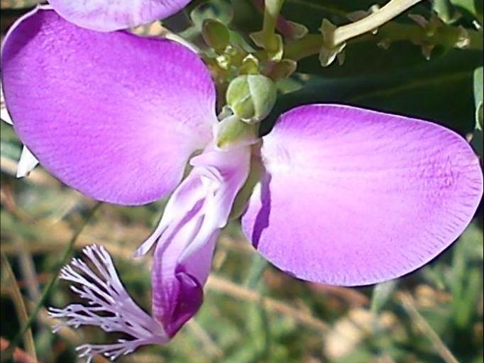 Притчи, глава 7 - перевод с иврита