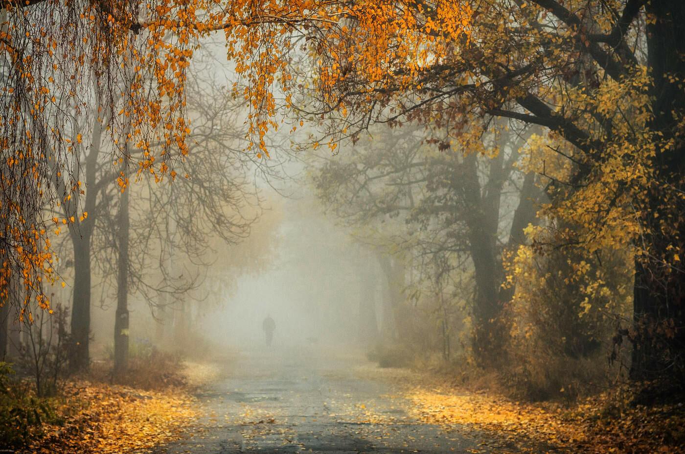 Наедине... с самим собой (2 часть)