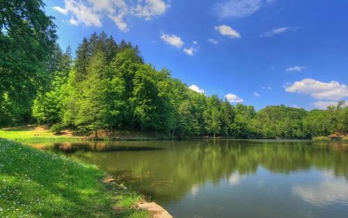 Билеты в лето