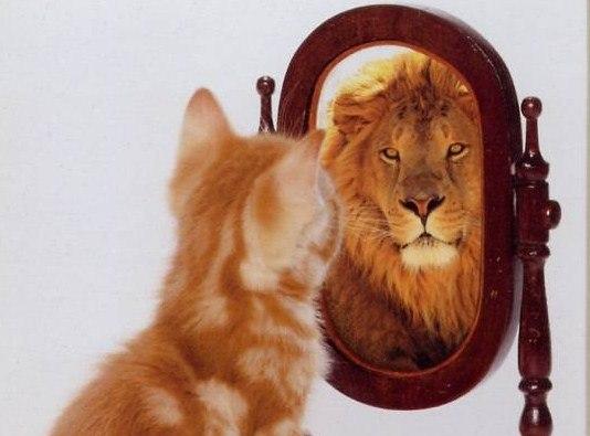 А ОКАЗАЛОСЬ, ЧТО Я ЛЕВ