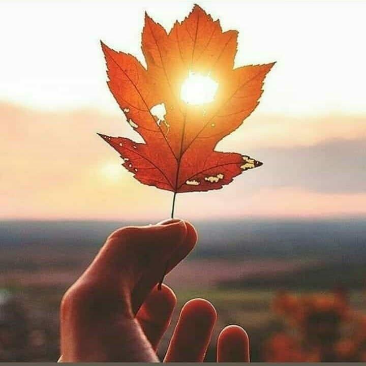 Философия жизни проста