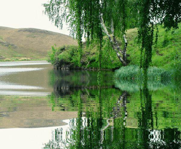 А НА ТОМ БЕРЕГУ