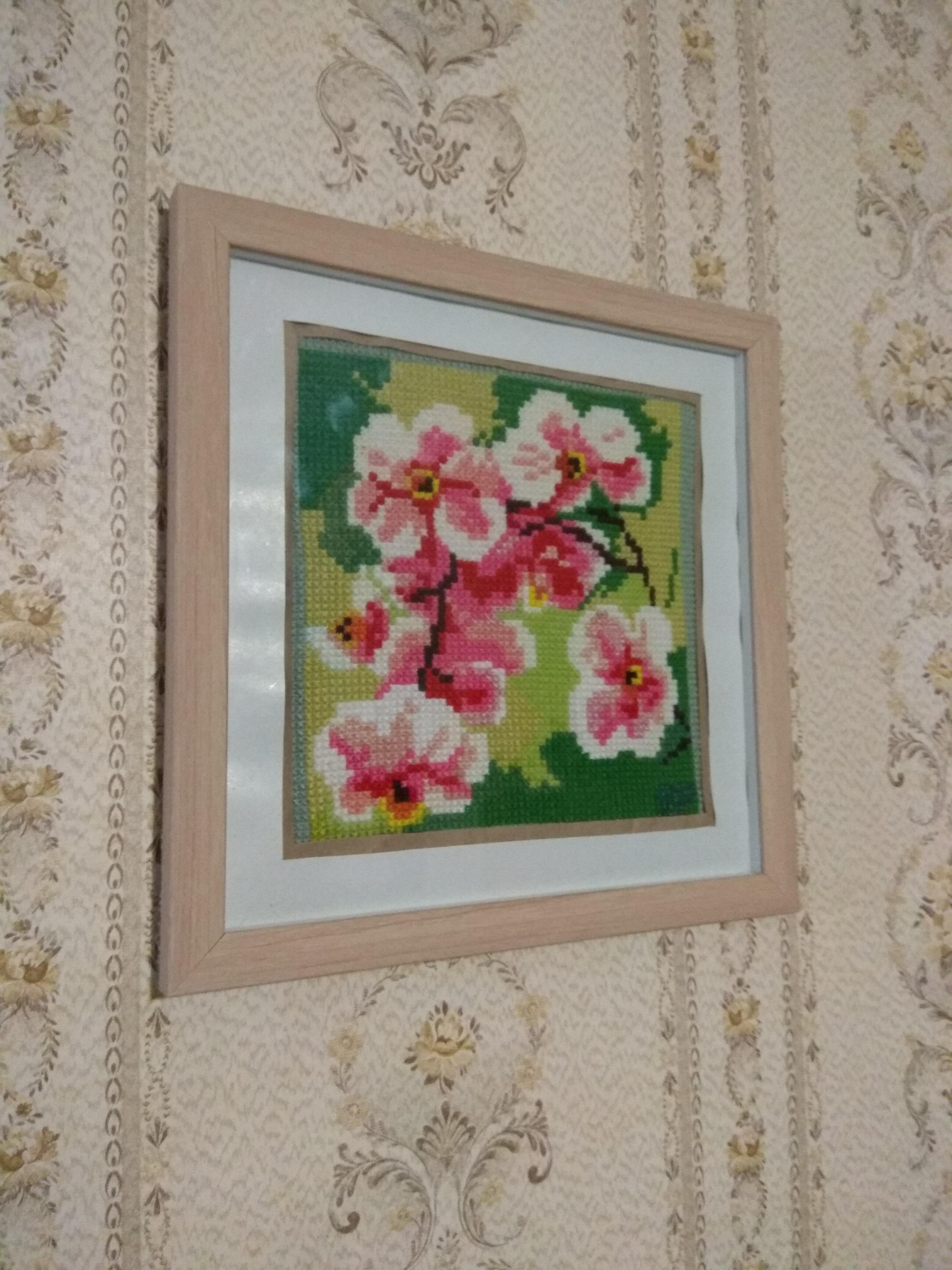 День знаний февраля