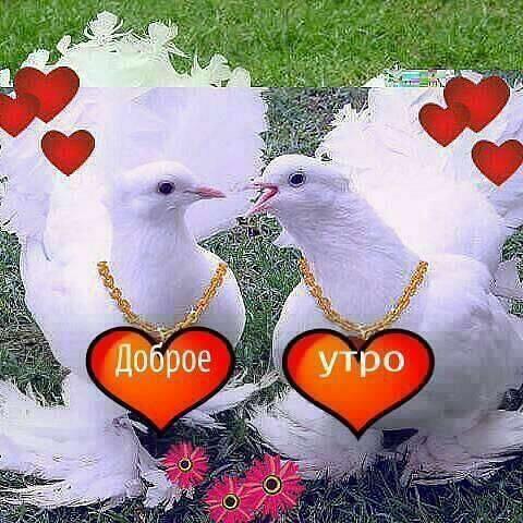 КОВАРНЫЙ АПРЕЛЬ