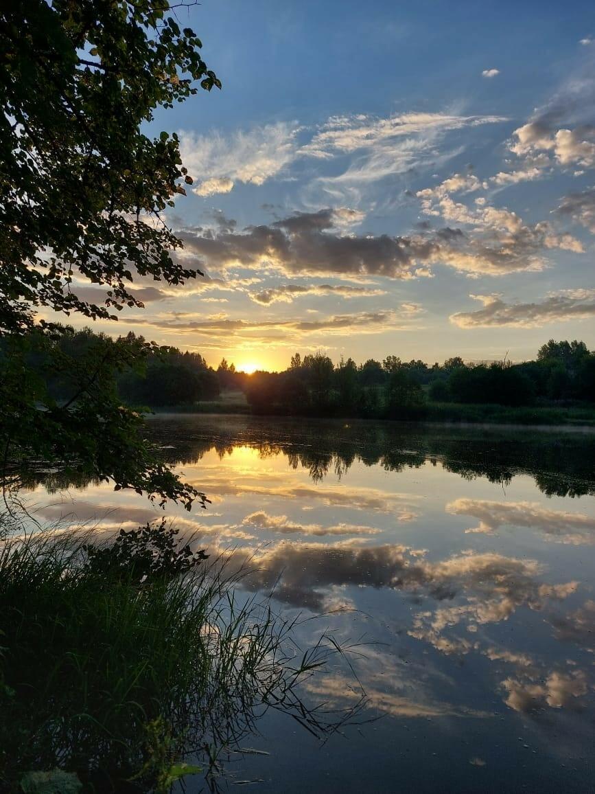 Stanzas–454: «Малая Родина»