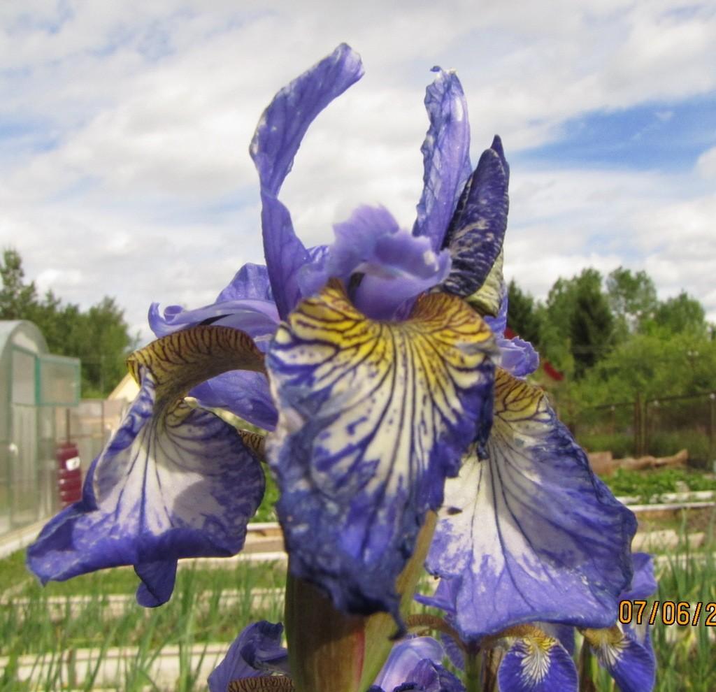 ВЗГЛЯД СО СТОРОНЫ 2…