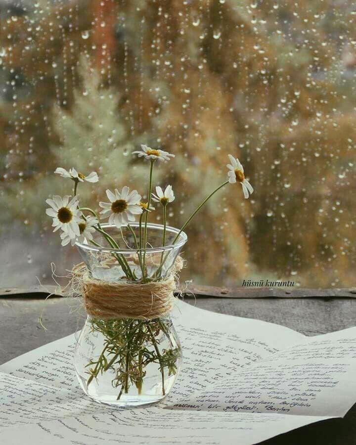 Как же больно тебя провожать навсегда