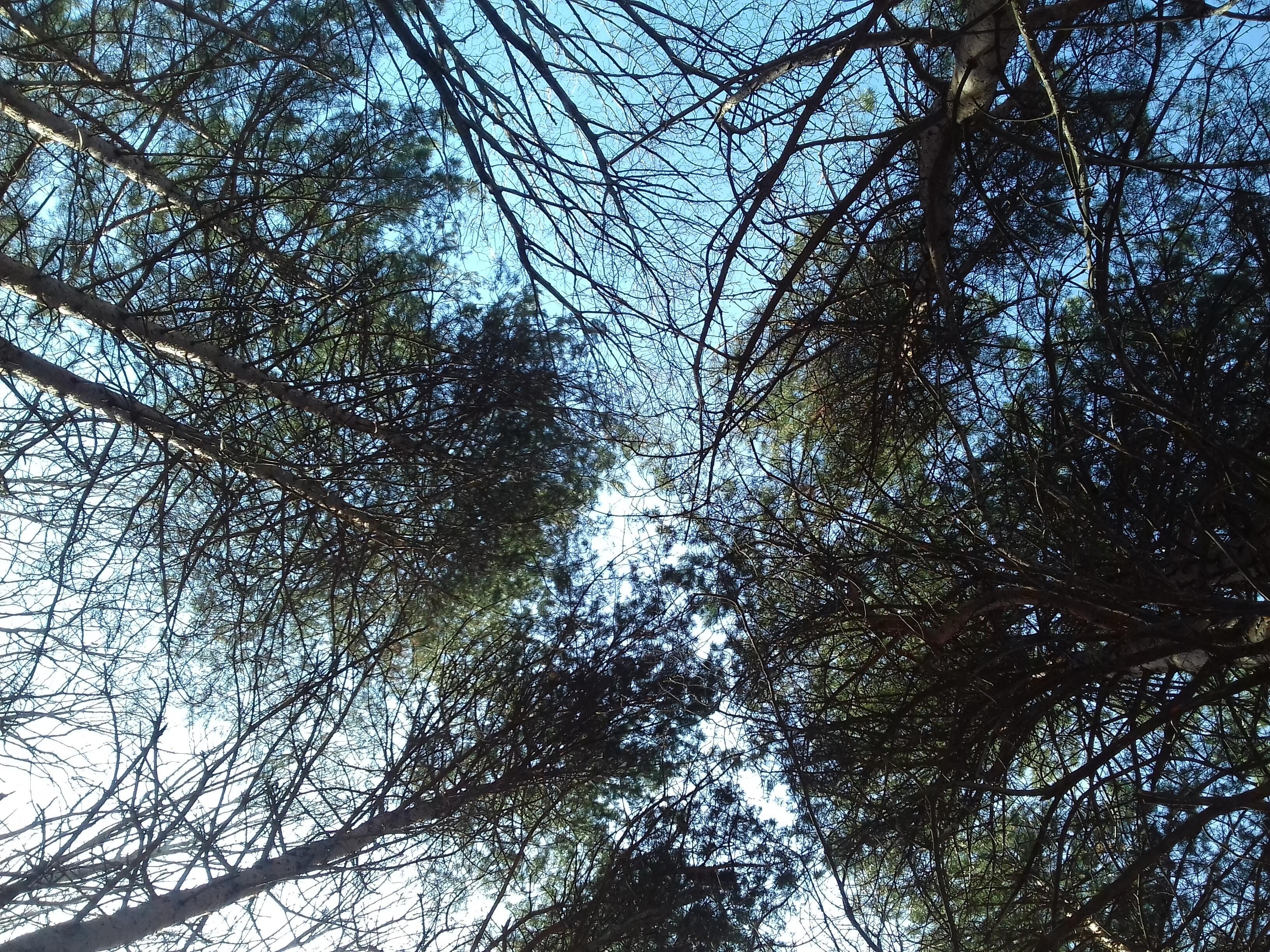 Весна  необычная...