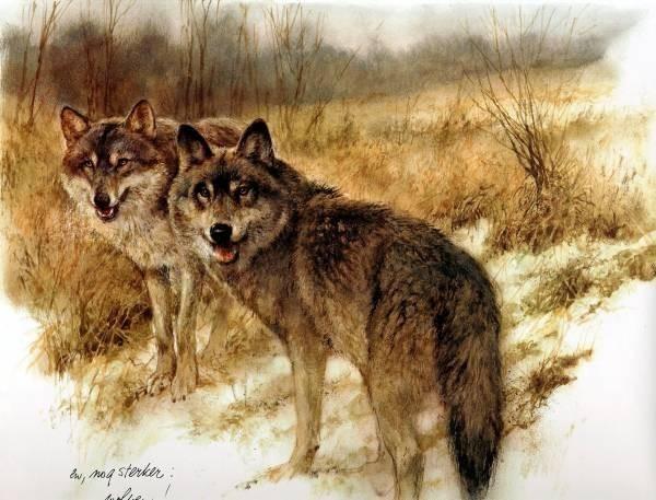 Ты молния, я гром