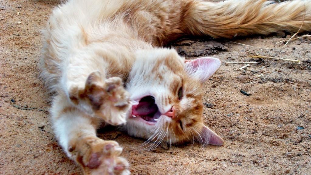 КУСОЧЕК РАЯ