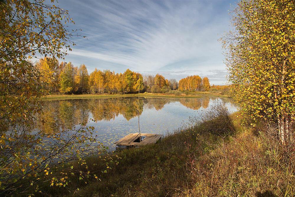 Осенний лес