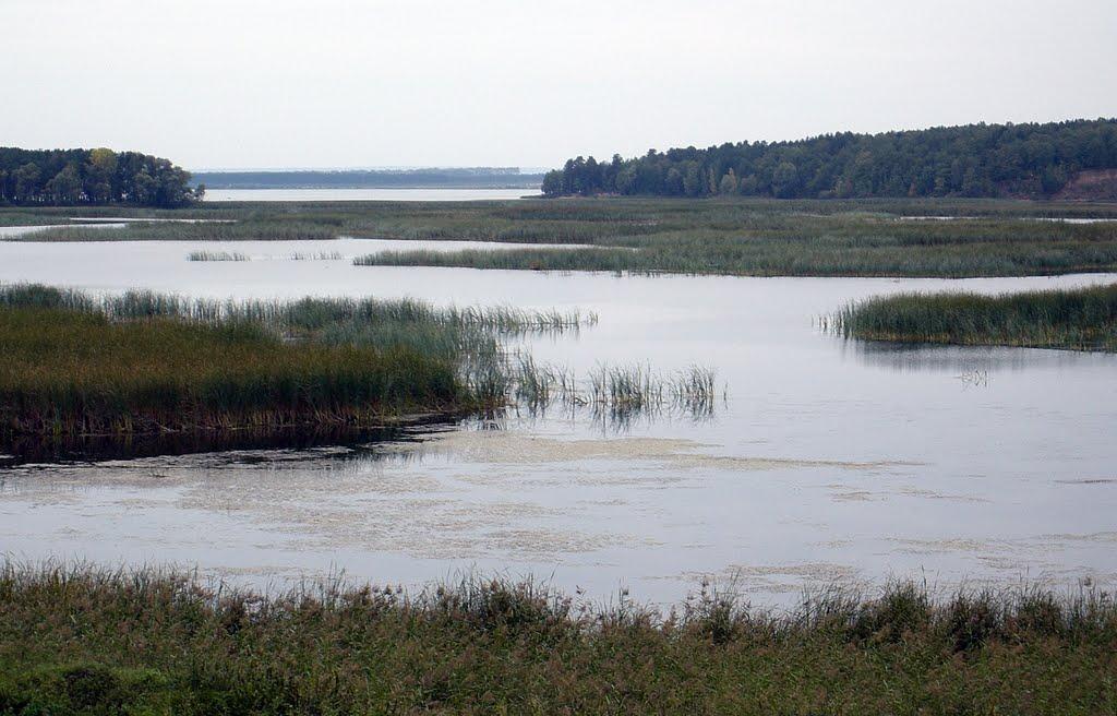 Березовский залив