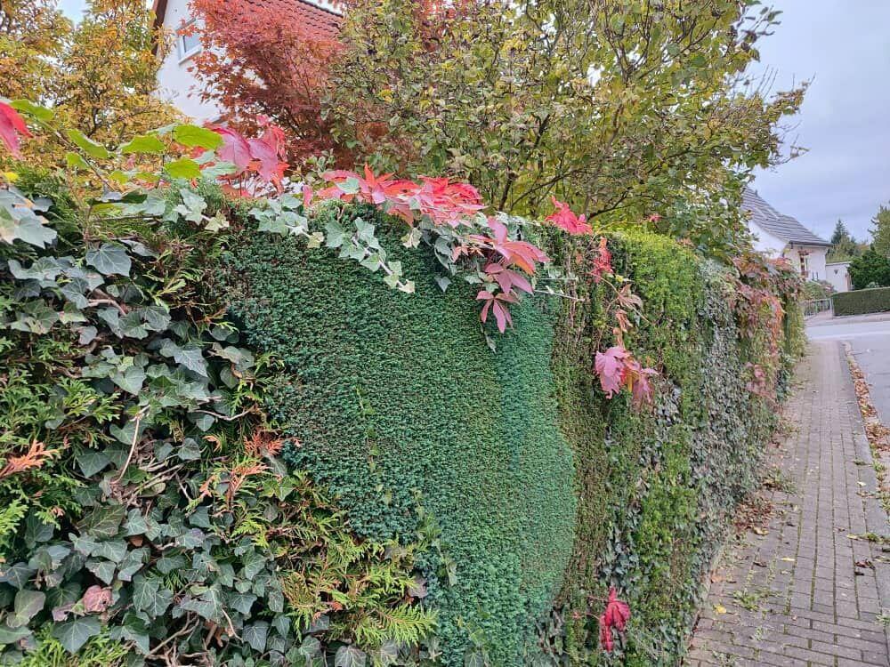 О Твоей любви 