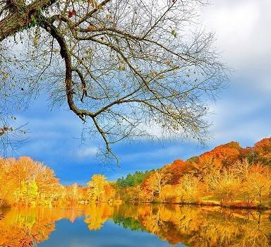 ВСЁ ДЫШИТ ОЧАРОВАНИЕМ!